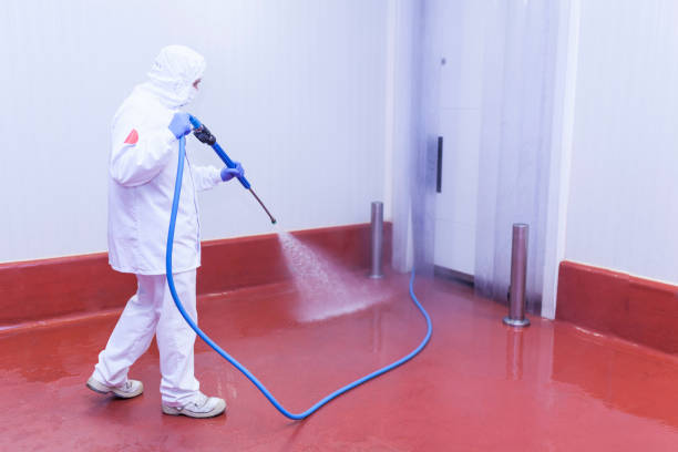 Best Paint Preparation  in Lake Arrowhead, ME